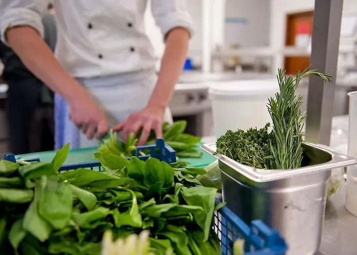 Hotell Koenigshof (adults Only) 3*